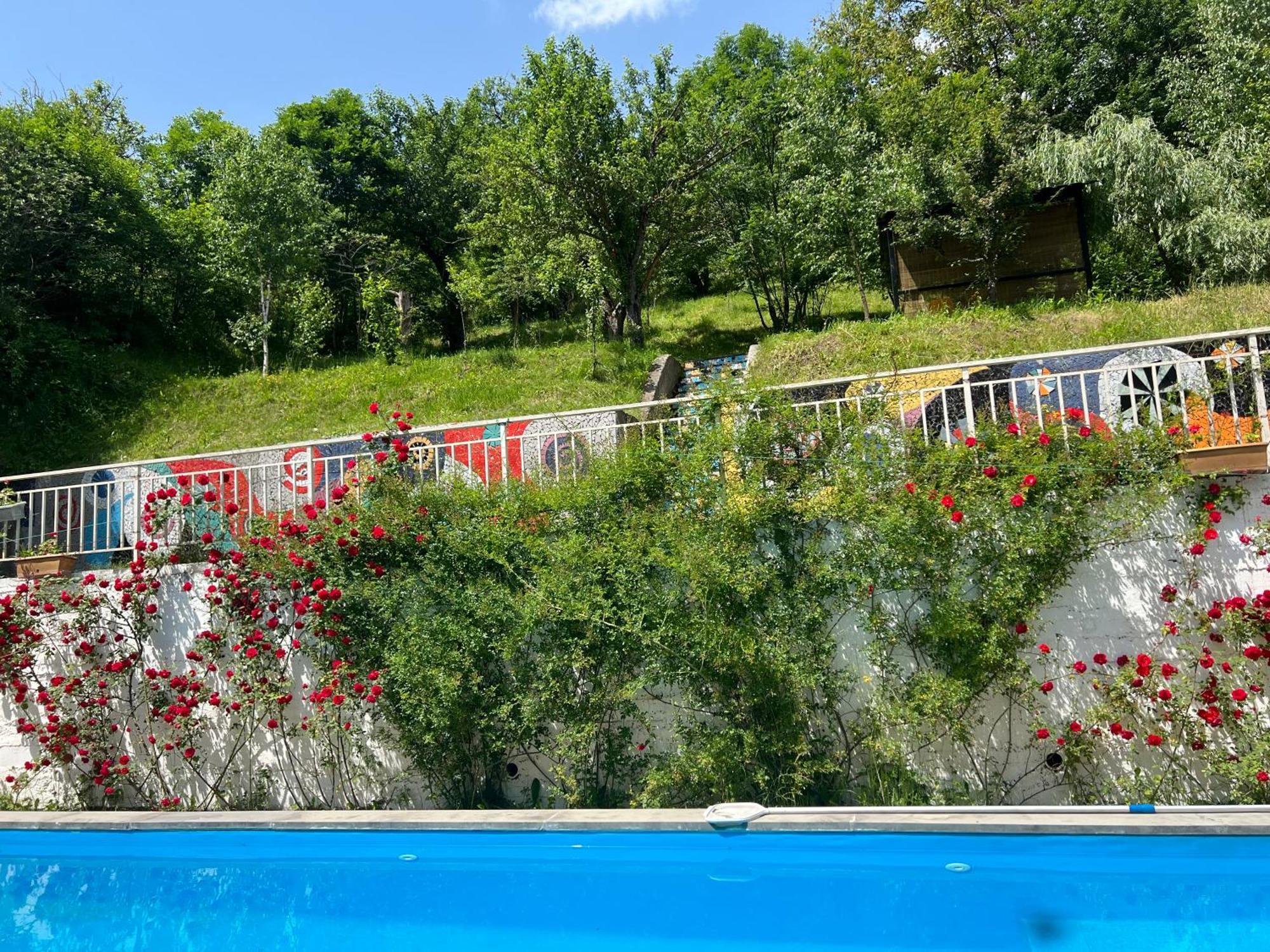 Vila Dilijan Duplex Exteriér fotografie