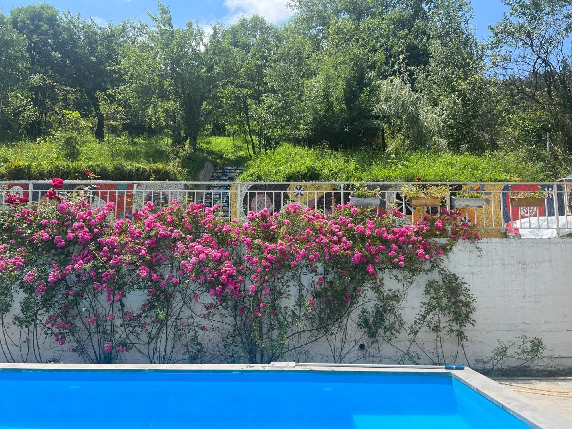 Vila Dilijan Duplex Exteriér fotografie