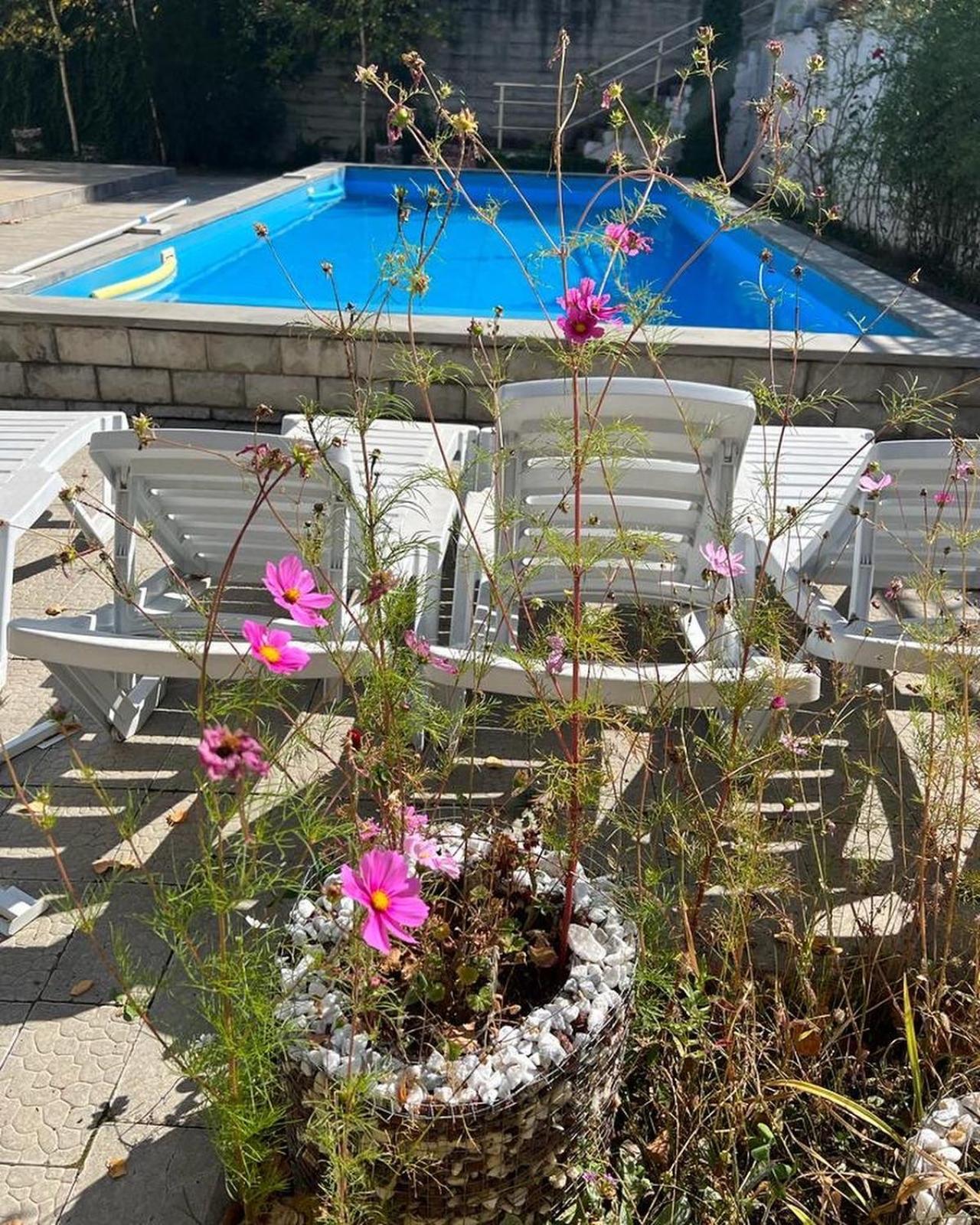 Vila Dilijan Duplex Exteriér fotografie